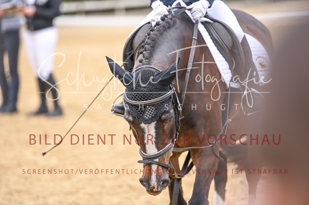 Schugtsche-Aluta25-47.ReiterWB_ST-19 | Schugtsche Fotografie - Realisiert mit Pictrs.com
