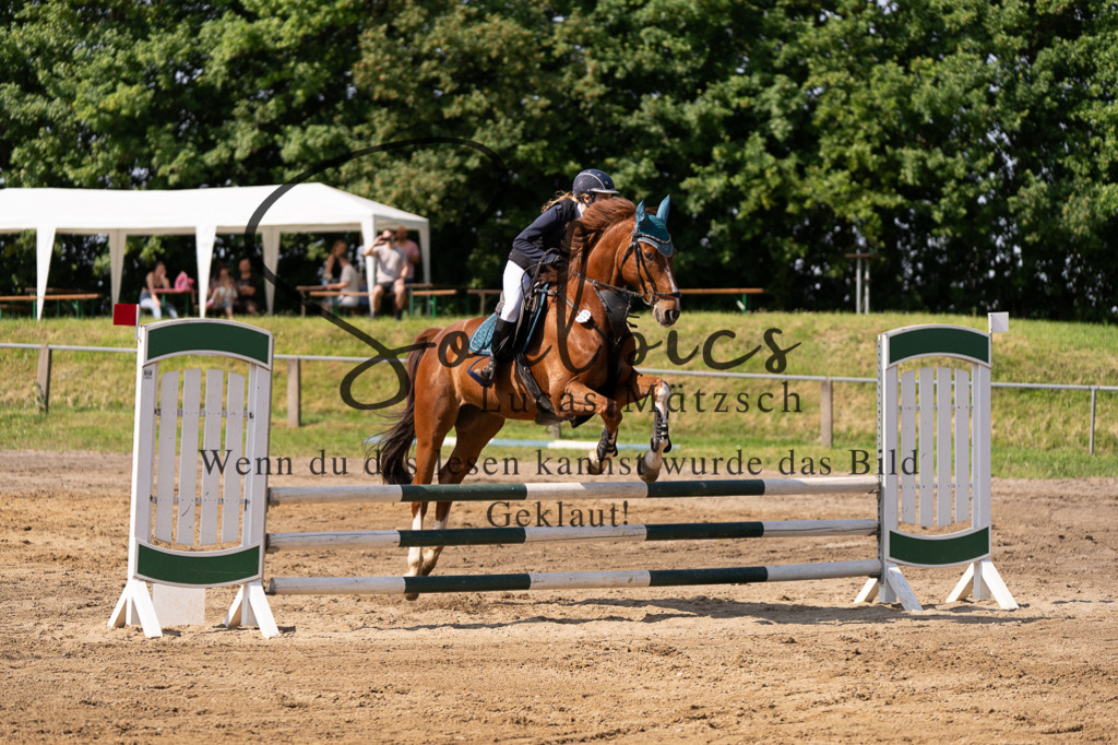 A7507357 | Turnier/Reitfotograf
