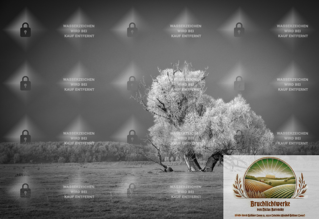 Frozen Loosen | Professioneller Fotograf mit 10 Jahren Erfahrung. Landschafts- und Hochzeitsfotografie im Oderbruch. Workshops und beeindruckende Bilder für besondere Momente.