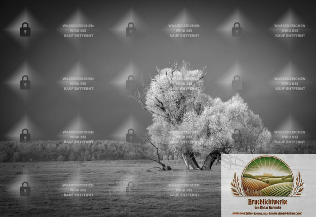 Frozen Loosen | Professioneller Fotograf mit 10 Jahren Erfahrung. Landschafts- und Hochzeitsfotografie im Oderbruch. Workshops und beeindruckende Bilder für besondere Momente.