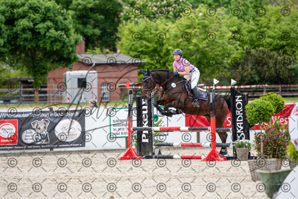 KPT_7304 | andre_photographic