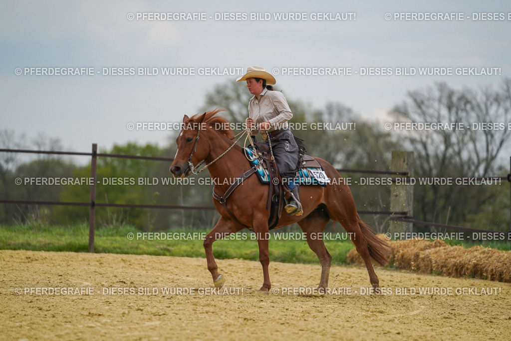 DSC07268 | Pferdegrafie