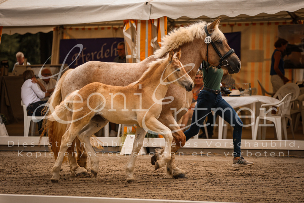 SaSF00070 | Leoni Ertmer Photography - Realisiert mit Pictrs.com