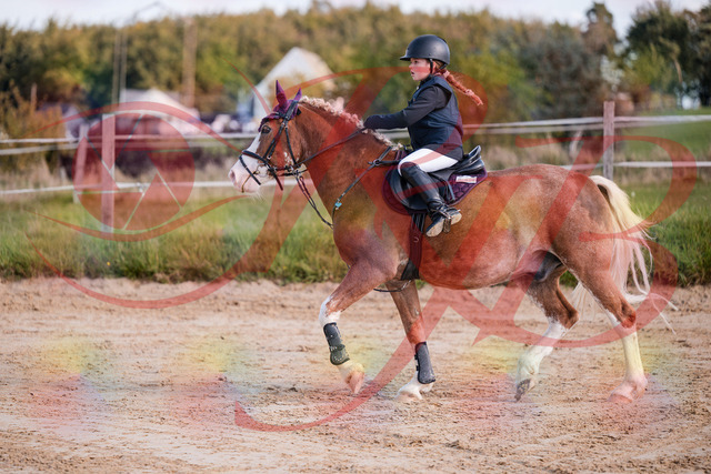 2026_10_03_Siefer-Hof_144505_Z81_20004077 | Professionelle Reitsport-, Turnier- und Eventfotografie von Robert Broda. Galerien mit ausgewählten und bearbeiteten Bildern direkt online ansehen und bestellen.