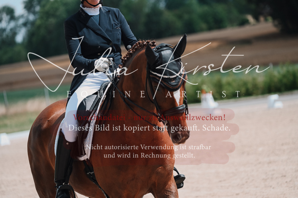 DSC_3796 | Pferde- und Turnierfotografie in Westsachsen. Pferdeportraits, Auftragszeichnungen und intuitive Kunst.