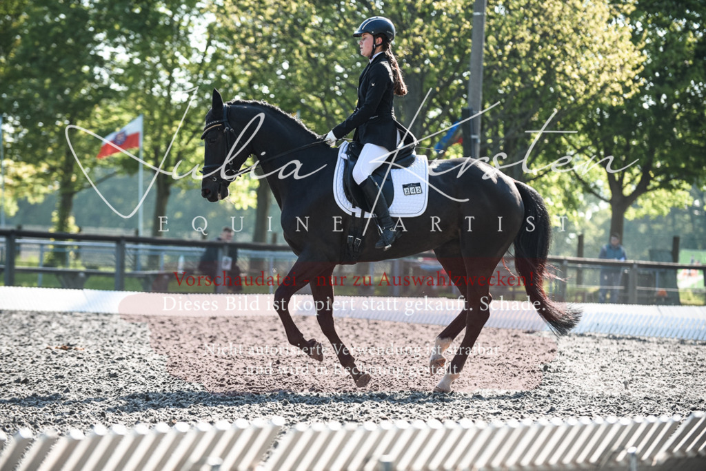 DSC_8353 | Pferde- und Turnierfotografie in Westsachsen. Pferdeportraits, Auftragszeichnungen und intuitive Kunst.