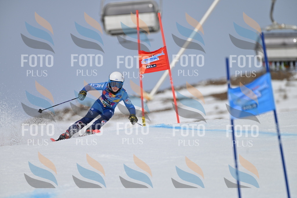 BGV_4983 | holidayphoto