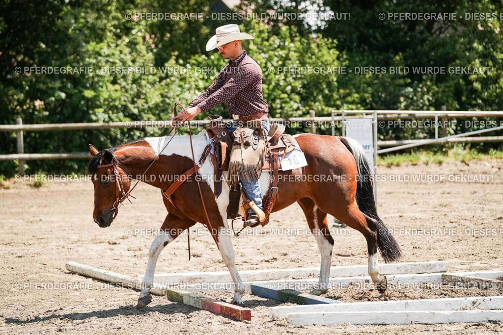 DSC07389 | Pferdegrafie