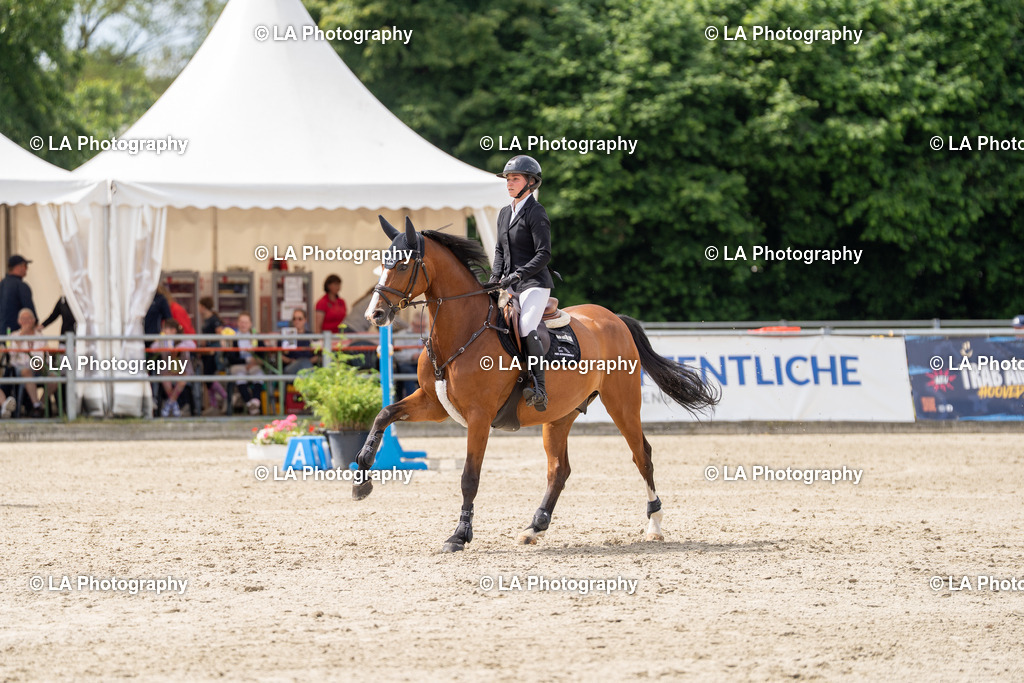DSC05214 | Entdecke einzigartige Turnierfotos und persönliche Pferde- und Hundeportraits bei LA Photography. Für jeden Reiter und Pferd das perfekte Bild! Stöbere jetzt! - Realisiert mit Pictrs.com
