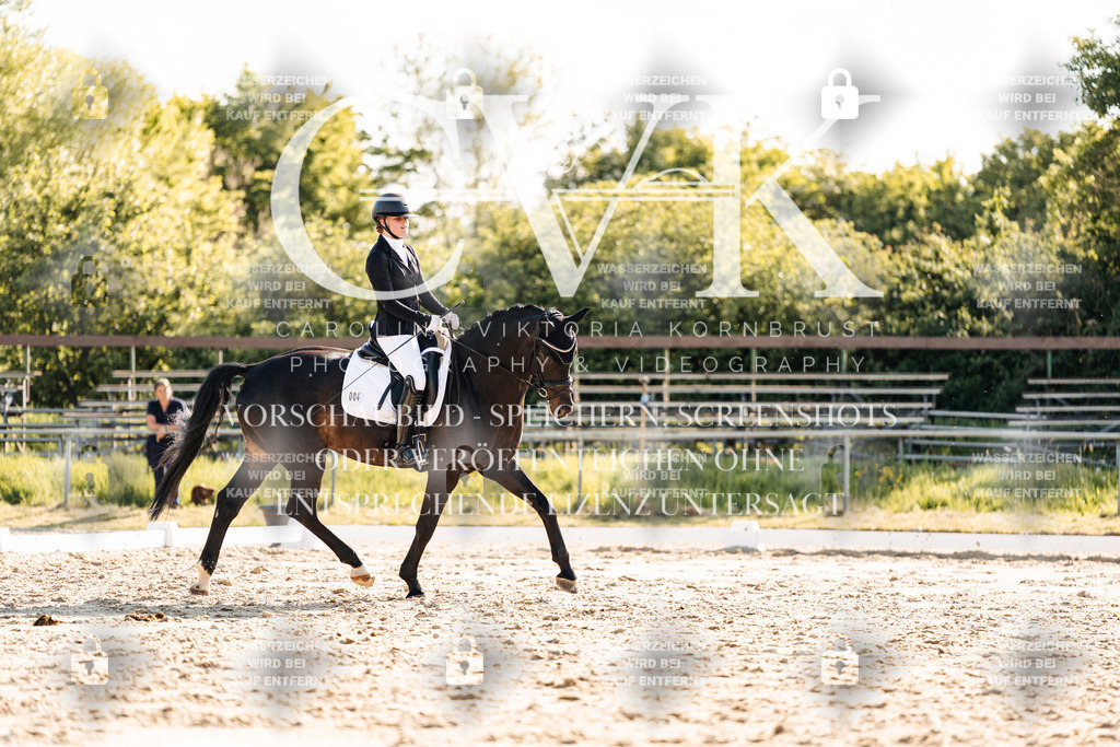 CK909930 | Turnierfotografie Pferdefotografie Trier Rheinland-Pfalz Pferdesport Reitsport Tierfotografie Sportfotografie Pferdevideo Pferdevideografie Equestrianvideography equestrianphotography  - Realisiert mit Pictrs.com