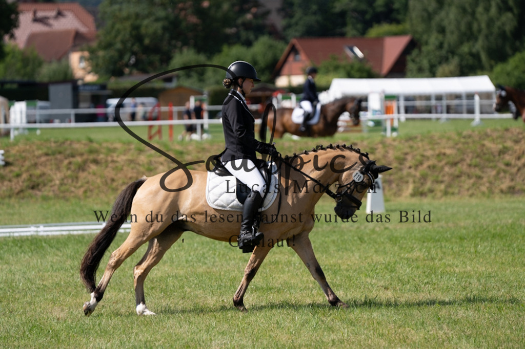 A7V09663 | Pferdefotograf