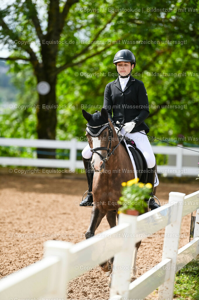 20230716_10-1_Reiter-WB Schritt - Trab - Galopp_0201 | equistock