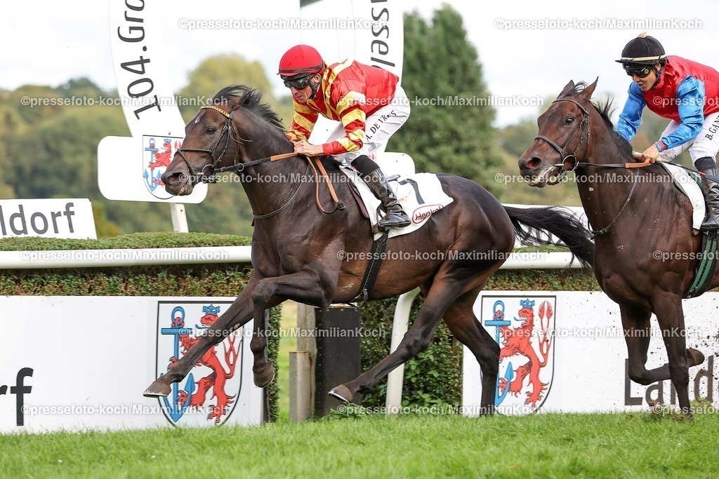 Due29092499001 | Best Lightning siegt unter Adrie de Vries im 104. GP von Düsseldorf, Gr.3 am 29.09.2024 Renntag in Düsseldorf. Copyright by Marc Ruehl - Veroeffentlichung nur gegen Honorar (zzgl.MwSt), Namensnennung und Beleg, Bank Routing Number: BIC GENODED1PAF, Bank Account Number: IBAN DE04 3706 2600 1201 6180 17, Steuer-Nr.: 203/5266/0306, Ust_Id_Nr.: De 122081417, Zur Gaulshuette 29, 50181 Bedburg, Phone: +49-(0)2272-83351, www.marcruehl.com, info@marcruehl.com, No Model Release, Abtretung von Persoenlichkeitsrechten der abgebildeten Person/Personen liegen nicht vor. Speichern in Bilddatenbanken oder Vervielfaeltigung ist ohne schriftliche Genehmigung nicht gestattet.