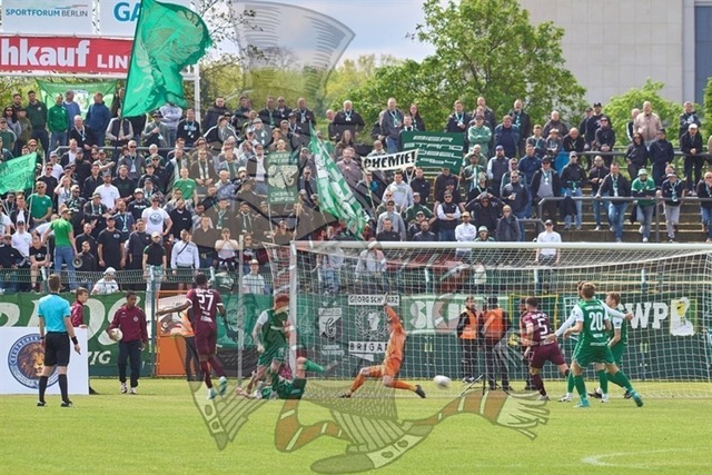 BFC Dynamo vs. BSG Chemie Leipzig  043 | mythos-online-redaktion