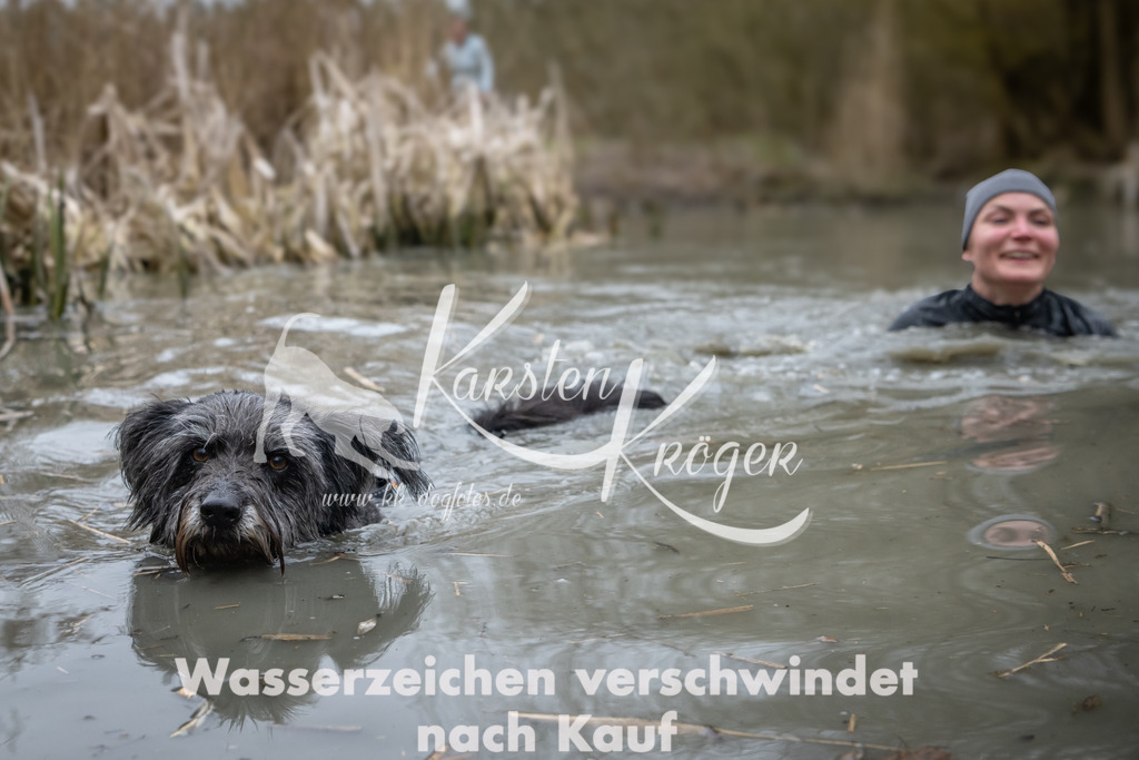 1011_ZZ96758 | kk-dogfotos