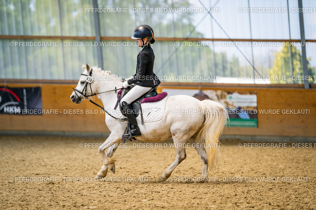 DSC03388 | Pferdegrafie