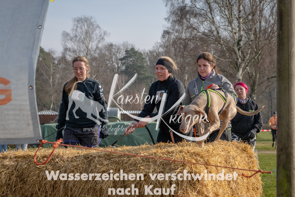 _ZZ90291 | kk-dogfotos