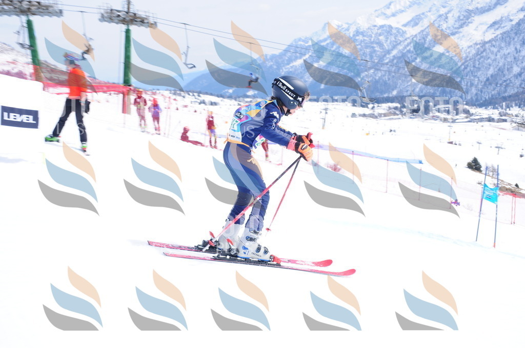 DSC_2326 | holidayphoto