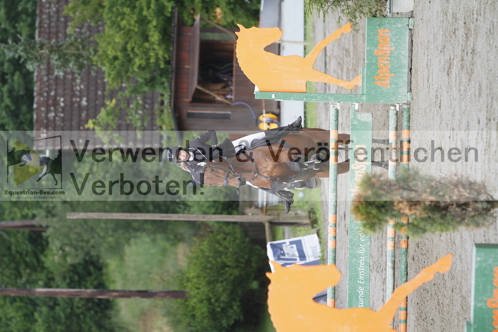 _MG_8015 | equestrian-live-com