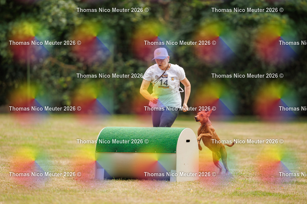 Thomas_Nico_Meuter(C)_22. August 2026_223A4603 | Bild von Thomas Nico Meuter - Realisiert mit Pictrs.com