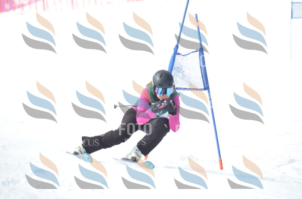 D8875 | holidayphoto