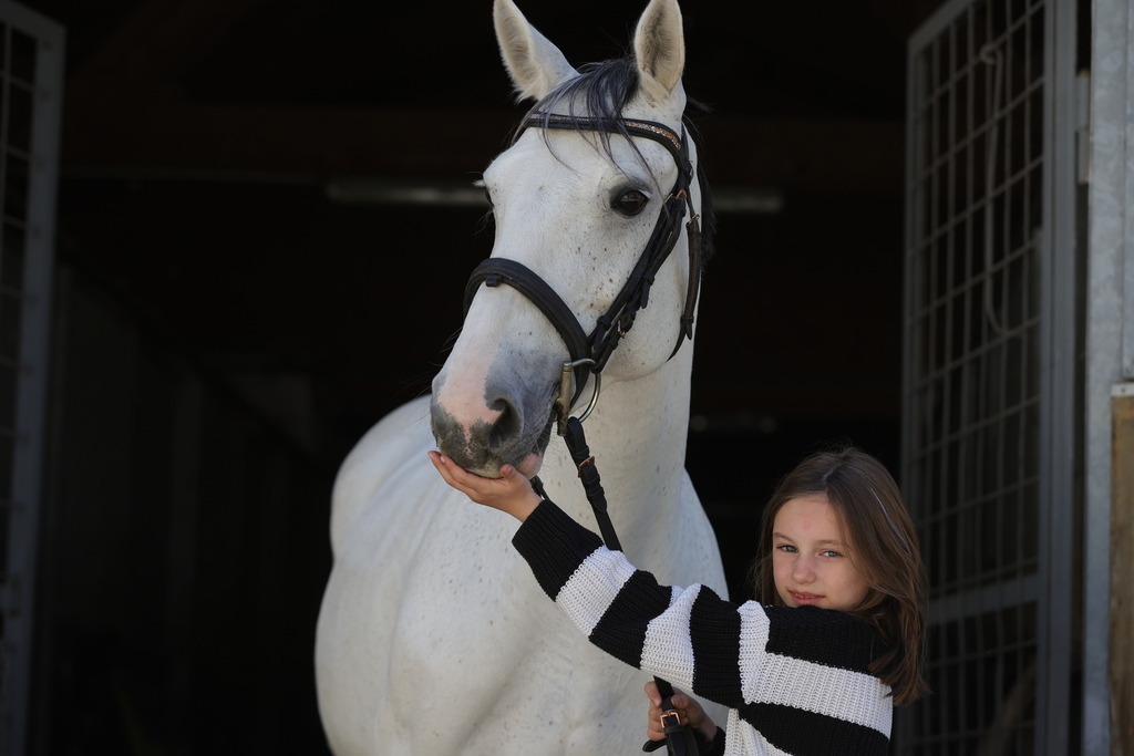 0P6A9020 | Willkommen bei Brunnmayr - Design & Fotografie – Ihrem Spezialisten für Reitturniere und Pferdeveranstaltungen in Oberösterreich, Salzburg und Bayern! Seit über 17 Jahren sind wir leidenschaftlich dabei.