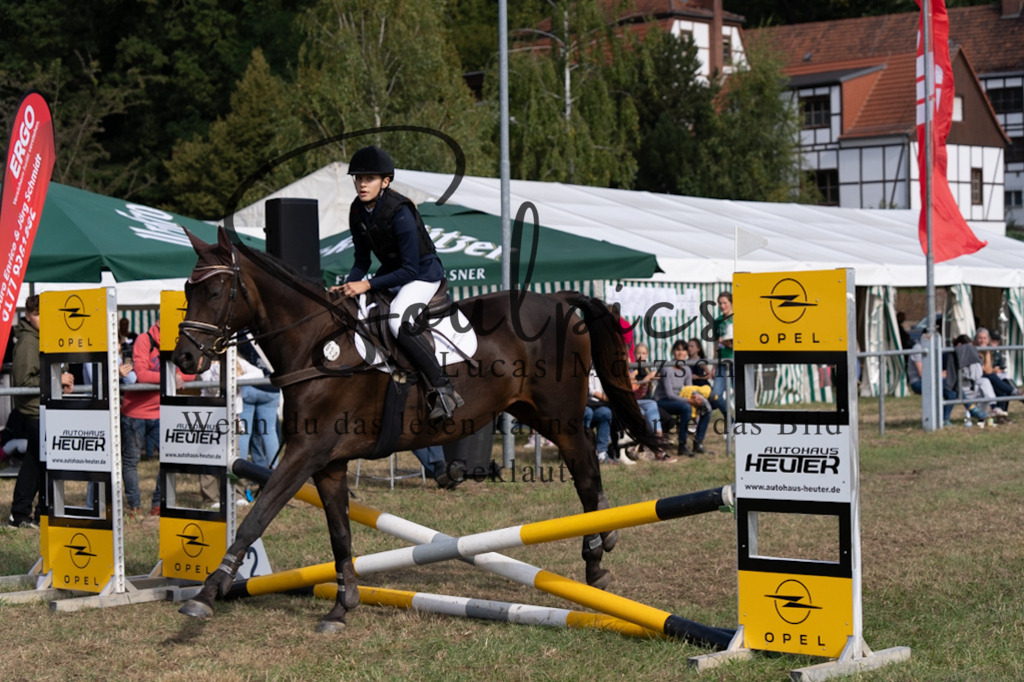 A7V08410 | Pferdefotograf