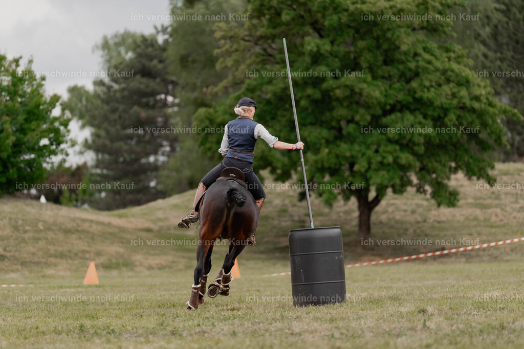 Showprogramm-458 | working equitationturnier fotograf videograf stoibphotography marixx film working equitation deutschland reitsport turnierfotografie eventfotografie equestrian events
