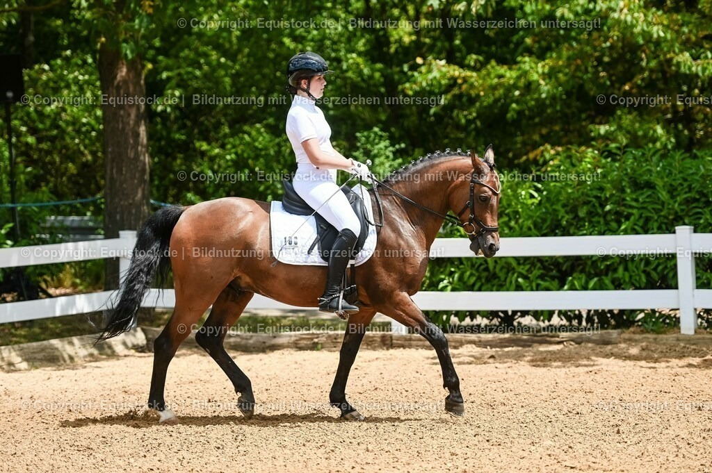 20230715_05_Dressurprüfung Kl.A++_0021 | equistock