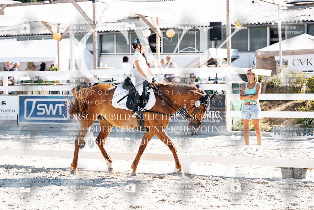CK903242 | Turnierfotografie Pferdefotografie Trier Rheinland-Pfalz Pferdesport Reitsport Tierfotografie Sportfotografie Pferdevideo Pferdevideografie Equestrianvideography equestrianphotography  - Realisiert mit Pictrs.com