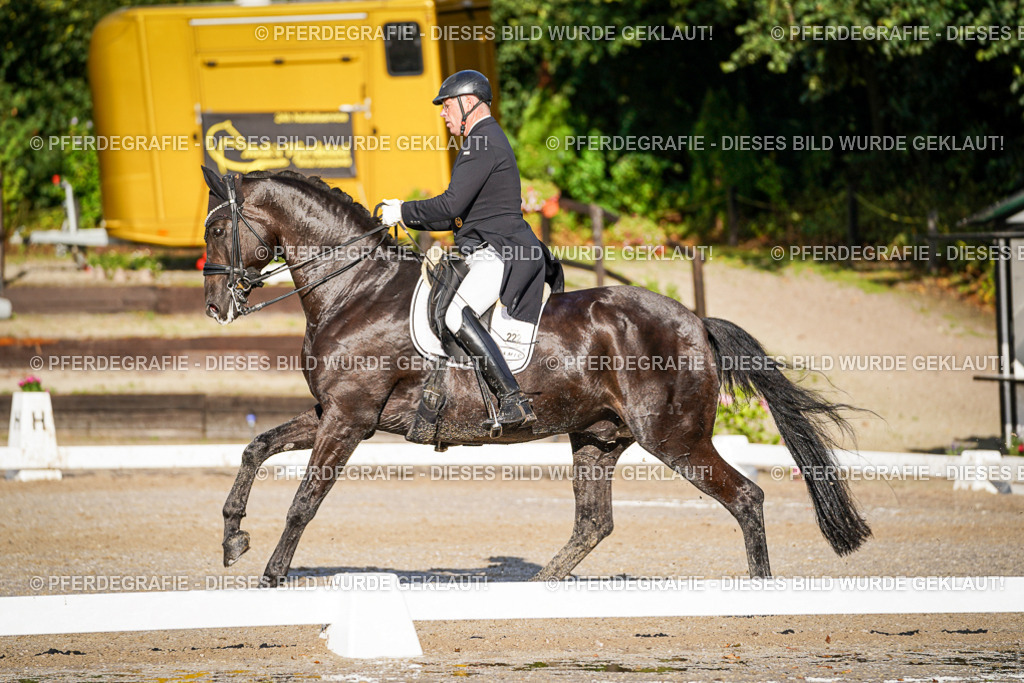 DSC00791 | Pferdegrafie