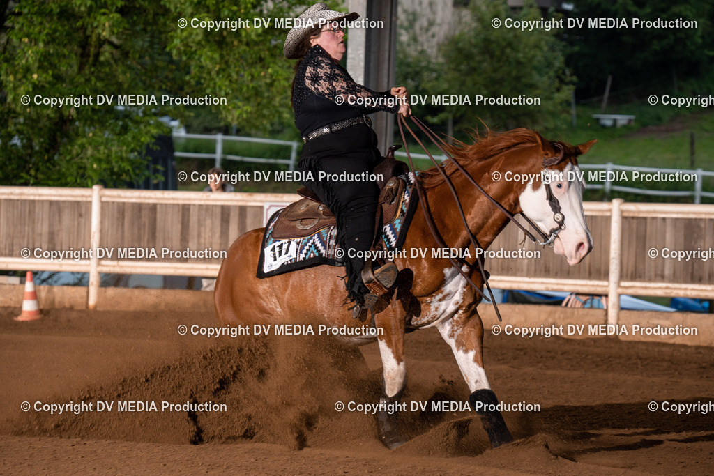 Erbach Tag 2-1135 | dv-media-shop - Realisiert mit Pictrs.com