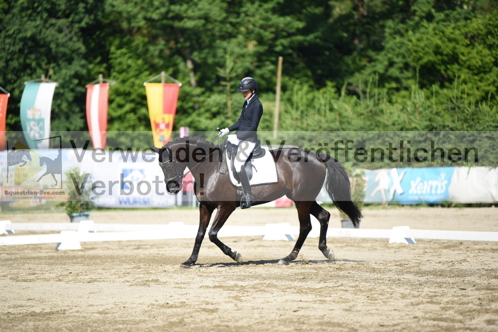 DSC_7365 | equestrian-live-com