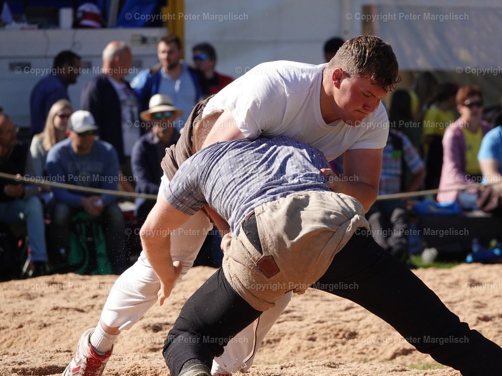 DSC07379 | Schwingen - Realisiert mit Pictrs.com