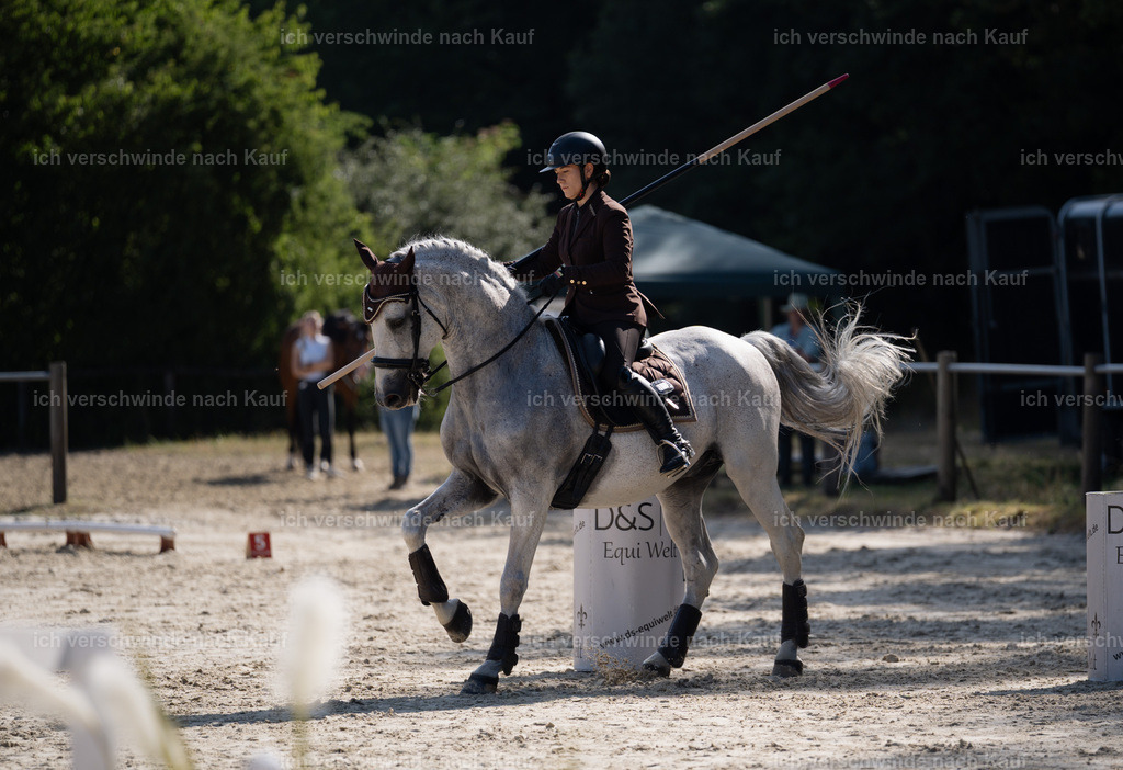 WM_ST_143_stoibphotography__SO10229 | working equitationturnier fotograf videograf stoibphotography marixx film working equitation deutschland reitsport turnierfotografie eventfotografie equestrian events