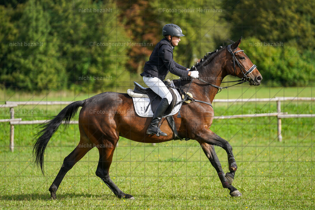20230917-FAH09097 | Landsberg am Lech, 2023, Kaufbeuren, Kempten, Allgäu, Turnierfotografen Bayern, Fotoagentur Herrmann, Turnierbilder, Reitsport Fotos, Pferdefotograf, Augsburg, Bad Tölz, Dachau, Karlsfeld, Memmingen, Buchloe, Schwabmünchen