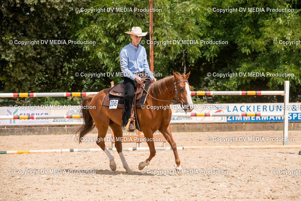 EWP_6153 | dv-media-shop - Realisiert mit Pictrs.com