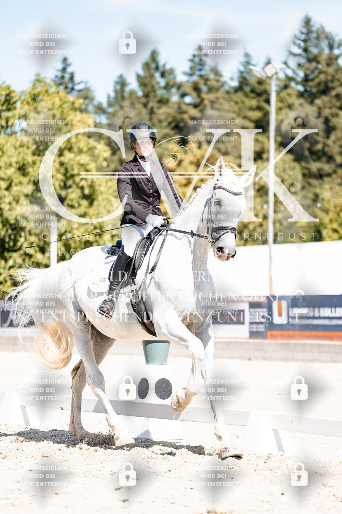 CK909933 | Turnierfotografie Pferdefotografie Trier Rheinland-Pfalz Pferdesport Reitsport Tierfotografie Sportfotografie Pferdevideo Pferdevideografie Equestrianvideography equestrianphotography  - Realisiert mit Pictrs.com