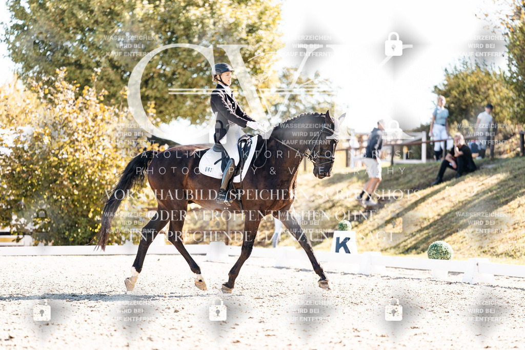 CK908883 | Turnierfotografie Pferdefotografie Trier Rheinland-Pfalz Pferdesport Reitsport Tierfotografie Sportfotografie Pferdevideo Pferdevideografie Equestrianvideography equestrianphotography  - Realisiert mit Pictrs.com