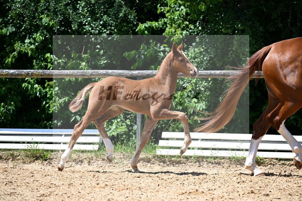 Kat-Nr. 19 Security x Va Bene_HF_Schindele_16250519 | hf-fotografie - Realisiert mit Pictrs.com