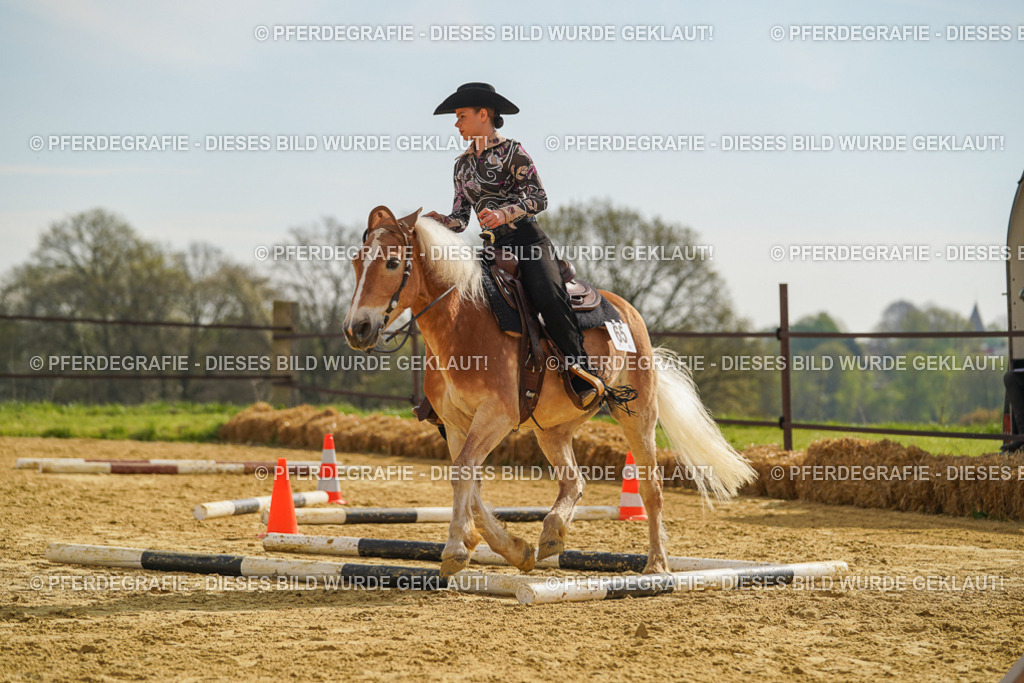 DSC01731 | Pferdegrafie