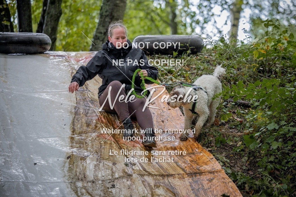 nelerasche_Hunsrück_Sa1430-1500_66-final | nelerasche