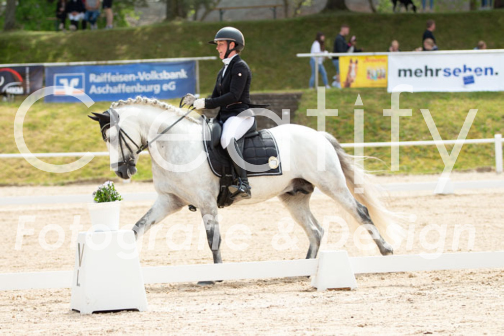 IMG_0787 | Creatify Fotografie