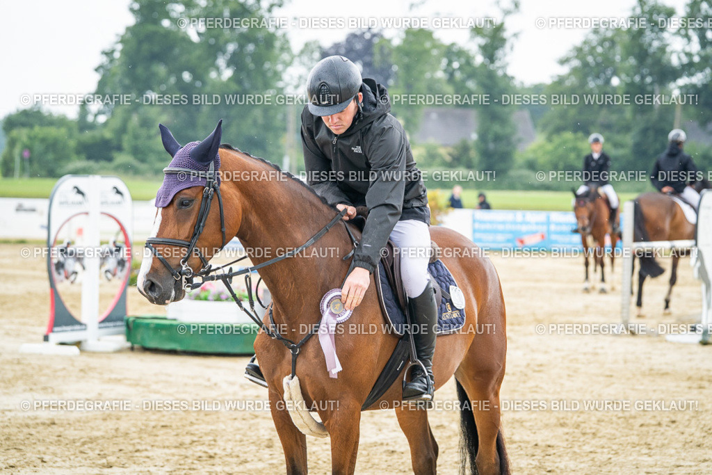 DSC03065 | Pferdegrafie