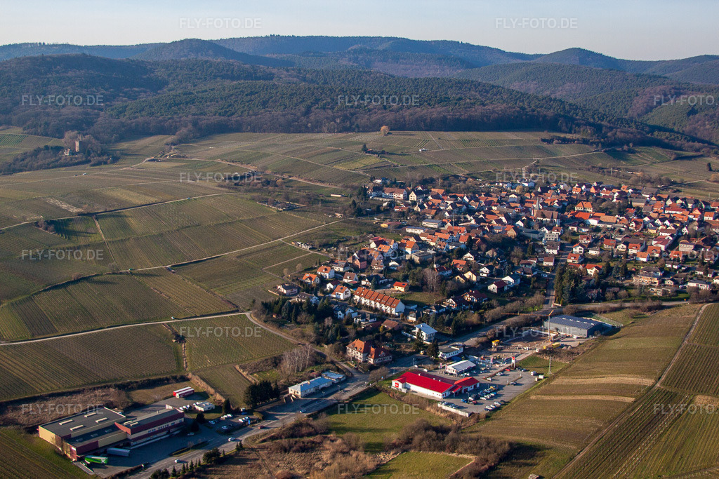 Luftbild: Zollheisel und Penny an der Rte de Schweigen im Ortsteil Schweigen in Schweigen-Rechtenbach im Bundesland Rheinland-Pfalz in Deutschland. Foto: IMG_62324.jpg vom 24.02.2014 durch Werner Riehm/FLY-FOTO.de