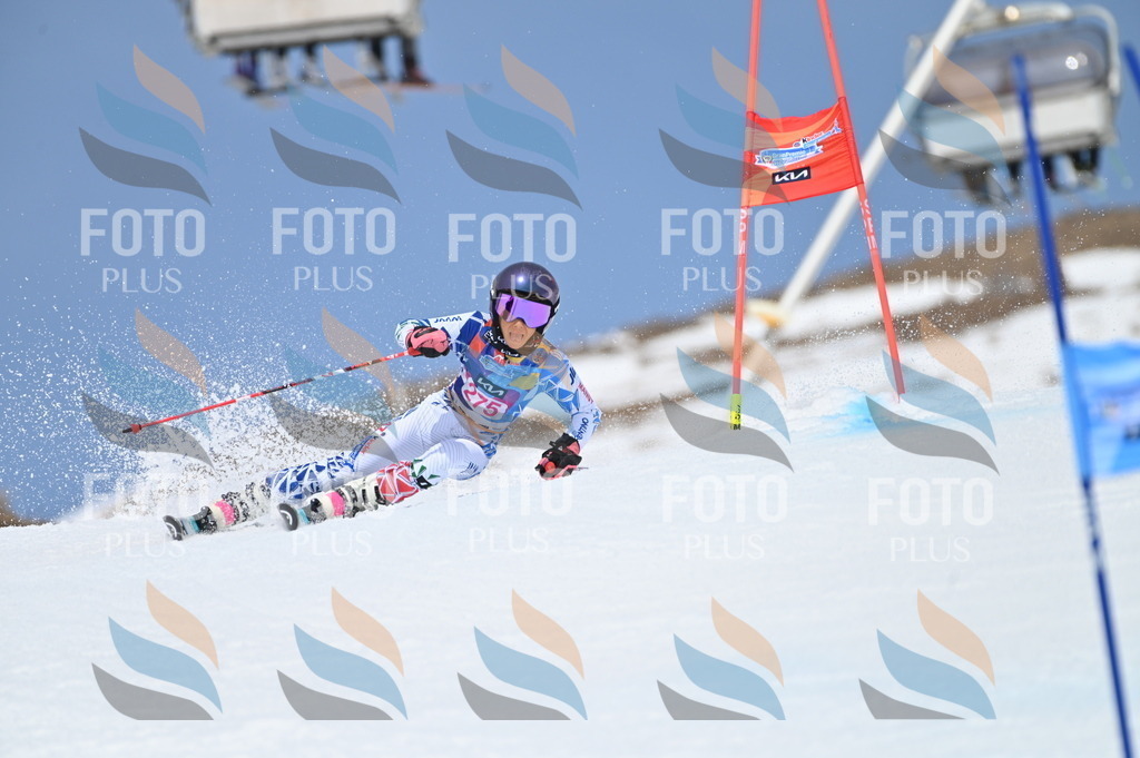 BGV_2323 | holidayphoto