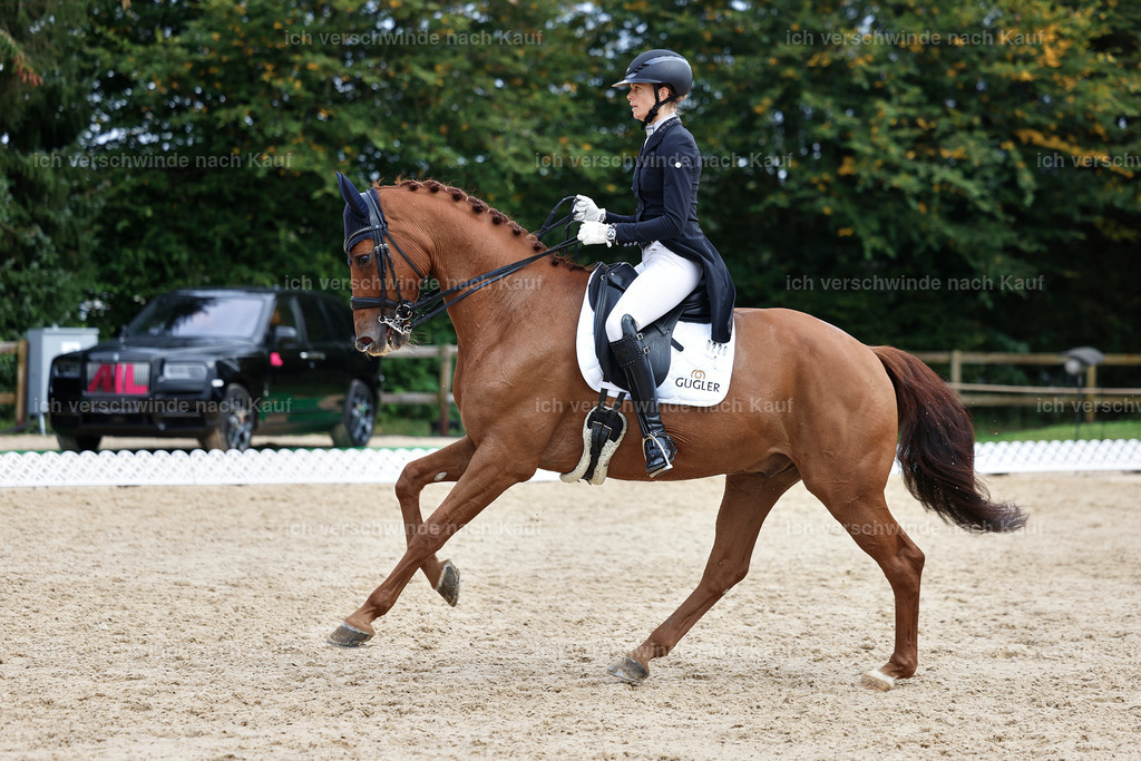 12-220-DRESSUR  S___  -StoibPH-5318 | working equitationturnier fotograf videograf stoibphotography marixx film working equitation deutschland reitsport turnierfotografie eventfotografie equestrian events