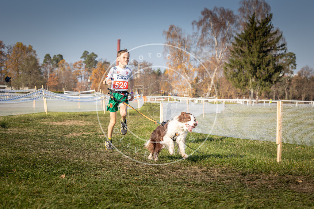 CaniXpix_0L8A8873 | Hundefotografie, Tierfotograf, Pfotenfotografie, Fotoshooting Hund, Hunde Portrait, Hundesport, Hundeportraits, Heideshooting, Hunde, Sportfotograf, Hundefotograf, Turnierhundsport, THS,  - Realisiert mit Pictrs.com