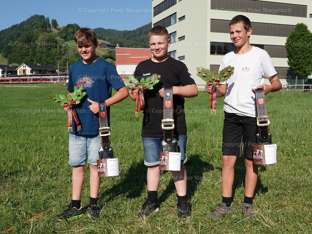 DSC04790 | Schwingen - Realisiert mit Pictrs.com