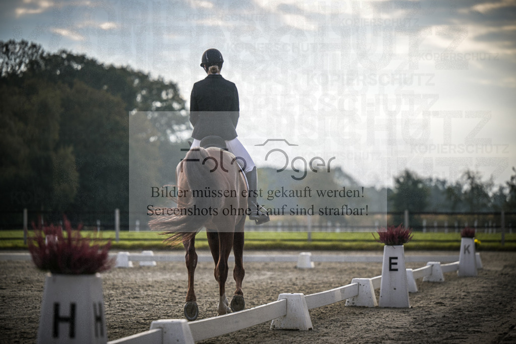 DOS_3150 | Entdecke hochwertige Reitturnierfotos von Foto Oger. Professionell, emotional und authentisch – jetzt Lieblingsmomente im Shop bestellen.Deutschlandweite Turnierfotografie. - Realisiert mit Pictrs.com